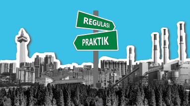 Protected: Sustainability Governance V1