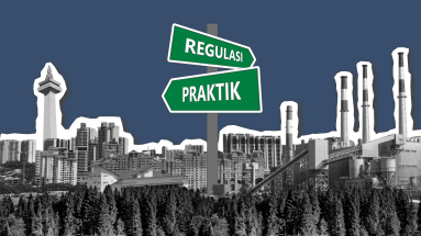 Protected: Sustainability Governance V2